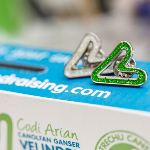 Velindre Sparkly Enamel ‘V’ Badge
